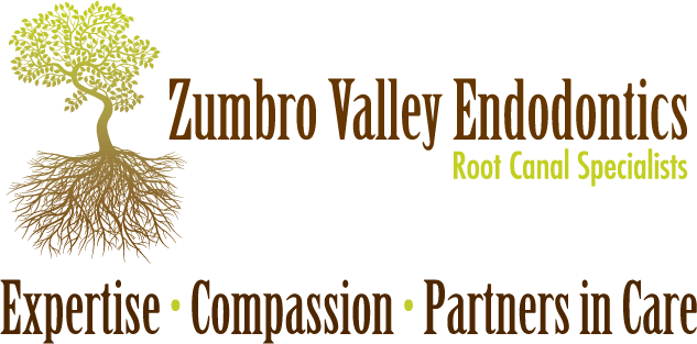 Link to Zumbro Valley Endodontics home page