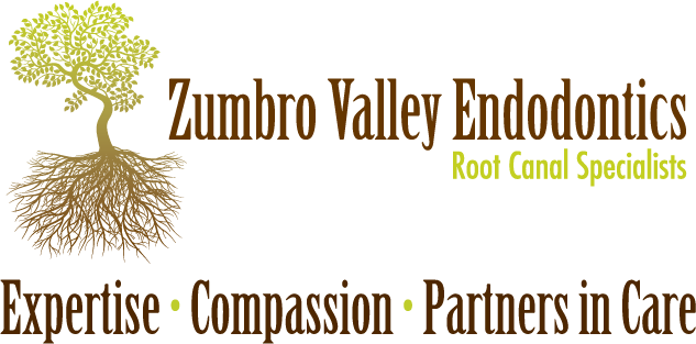 Link to Zumbro Valley Endodontics home page