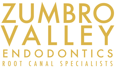 Link to Zumbro Valley Endodontics home page